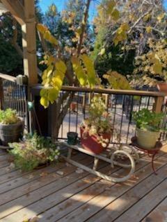 24401 Shake Ridge Rd, Volcano, CA 95689 photo 67