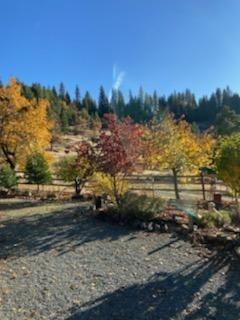24401 Shake Ridge Rd, Volcano, CA 95689 photo 71