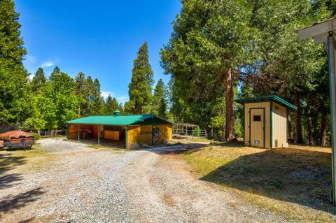 24401 Shake Ridge Rd, Volcano, CA 95689 photo 56