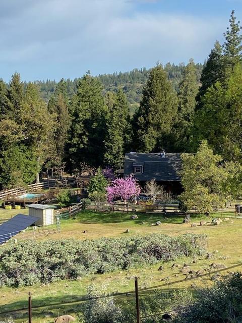 24401 Shake Ridge Rd, Volcano, CA 95689 photo 70