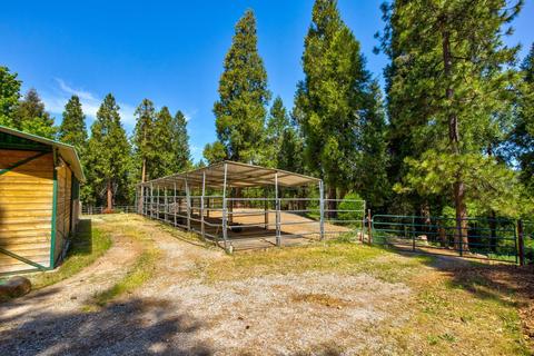 24401 Shake Ridge Rd, Volcano, CA 95689 photo 46