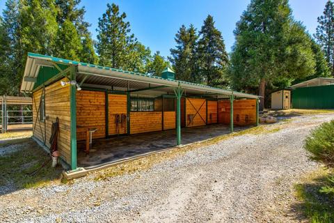 24401 Shake Ridge Rd, Volcano, CA 95689 photo 44