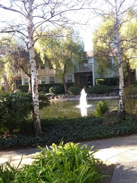 519 Camelback Rd, Pleasant Hill, CA 94523 photo 25