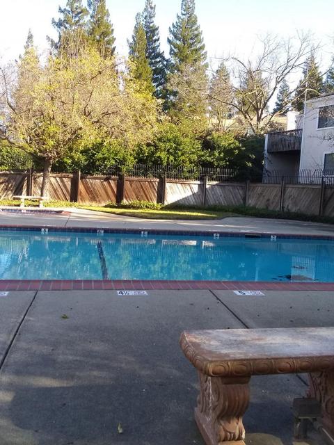 519 Camelback Rd, Pleasant Hill, CA 94523 photo 26