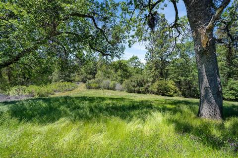 14600 E Quartz Mountain Rd, Sutter Creek, CA 95685 photo 46