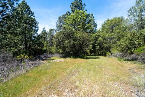 14600 E Quartz Mountain Rd, Sutter Creek, CA 95685 photo 48