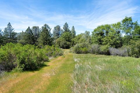 14600 E Quartz Mountain Rd, Sutter Creek, CA 95685 photo 47