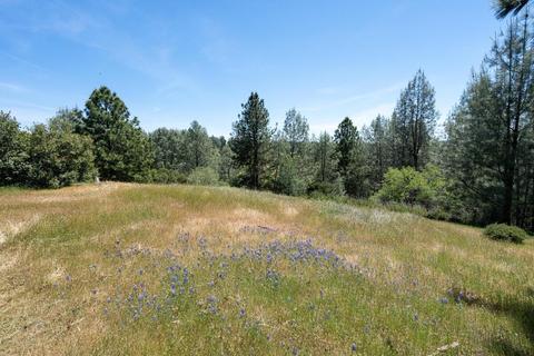 14600 E Quartz Mountain Rd, Sutter Creek, CA 95685 photo 49