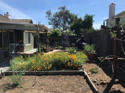356 E Springer Dr, Turlock, CA 95382 photo 21