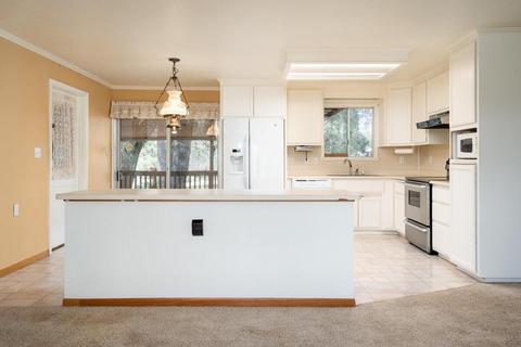 19805 Shake Ridge Rd, Volcano, CA 95689 photo 7