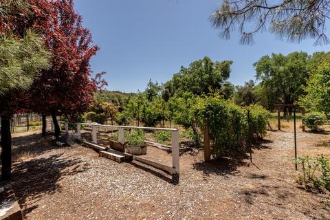 1445 Main St, Douglas Flat, CA 95229 photo 49