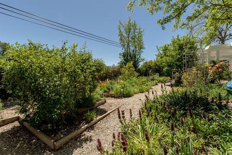 1445 Main St, Douglas Flat, CA 95229 photo 22