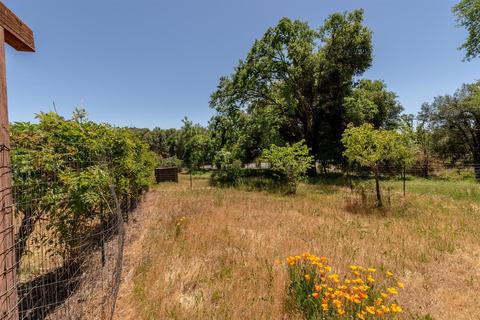 1445 Main St, Douglas Flat, CA 95229 photo 53
