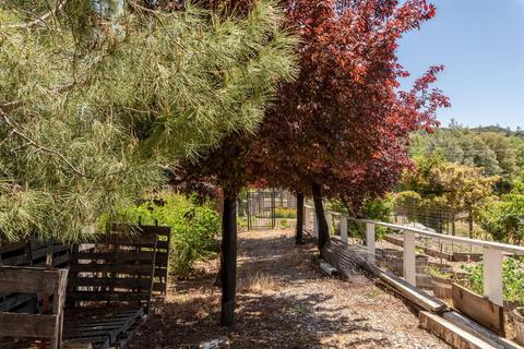 1445 Main St, Douglas Flat, CA 95229 photo 48