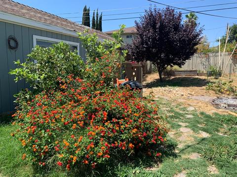 3225 Davidson Dr, Antelope, CA 95843 photo 23