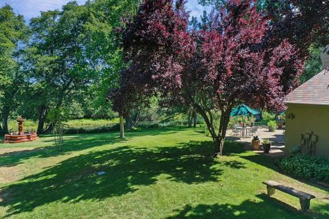 19597 E Mehrten Rd, Clements, CA 95227 photo 7