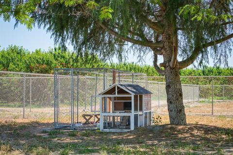 14222 Louise Ave, Ripon, CA 95366 photo 46