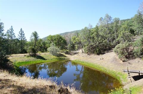 23777 Mines Rd, Livermore, CA 94550 photo 38