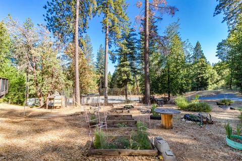 5061 Cedar Dr, Georgetown, CA 95634 photo 21