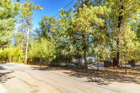 5061 Cedar Dr, Georgetown, CA 95634 photo 64