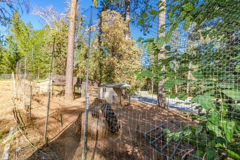 5061 Cedar Dr, Georgetown, CA 95634 photo 22