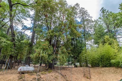 5061 Cedar Dr, Georgetown, CA 95634 photo 40