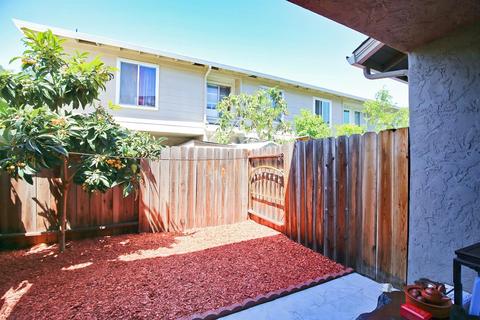 363 N Temple Dr, Milpitas, CA 95035 photo 24