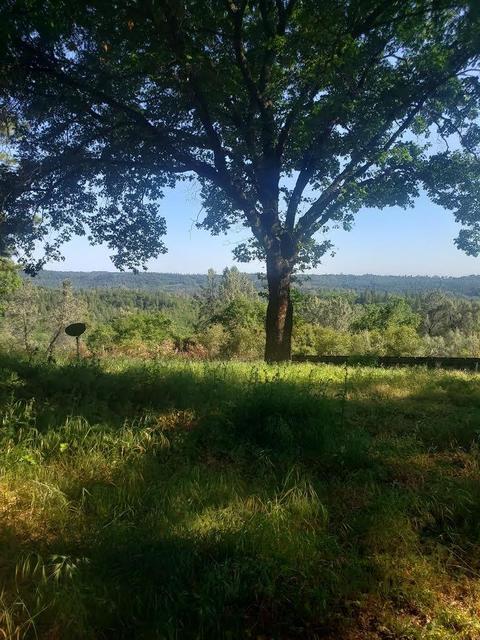 3045 Braeburn Ln, Placerville, CA 95667 photo 4