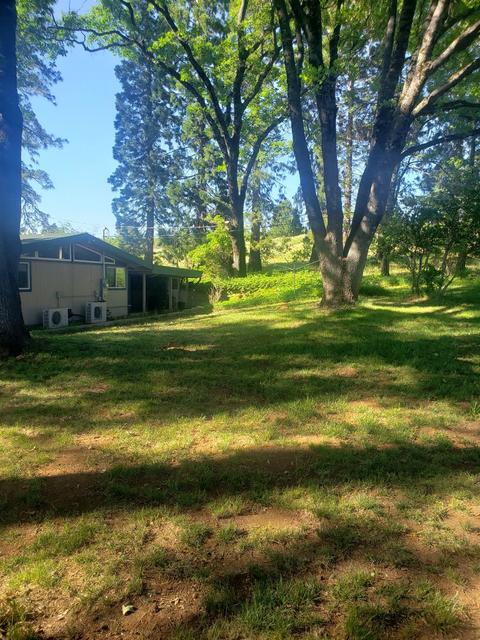 3045 Braeburn Ln, Placerville, CA 95667 photo 7
