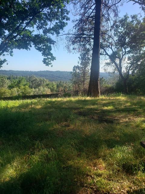 3045 Braeburn Ln, Placerville, CA 95667 photo 6