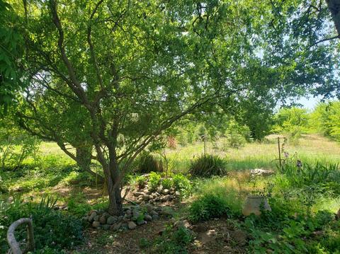 3045 Braeburn Ln, Placerville, CA 95667 photo 25