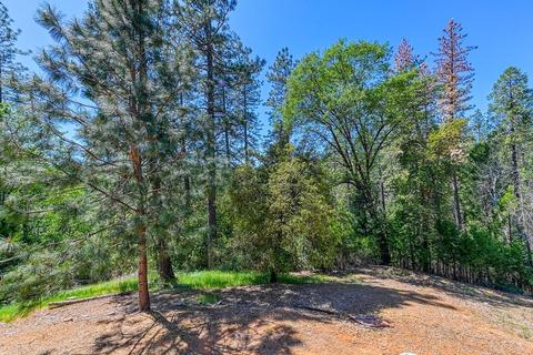 6161 Rolling Ct, Georgetown, CA 95634 photo 37