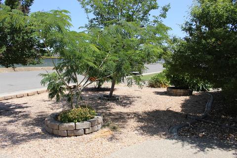 8038 Griffith Ln, Sutter, CA 95982 photo 45