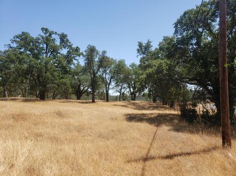 12609 Pattison Rd, Burson, CA 95225 photo 11