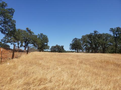 12609 Pattison Rd, Burson, CA 95225 photo 8