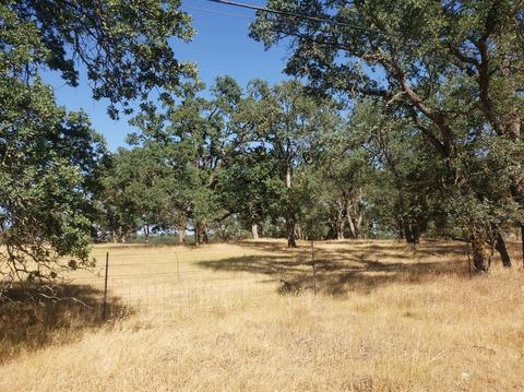 12609 Pattison Rd, Burson, CA 95225 photo 6