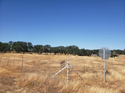 12609 Pattison Rd, Burson, CA 95225 photo 4