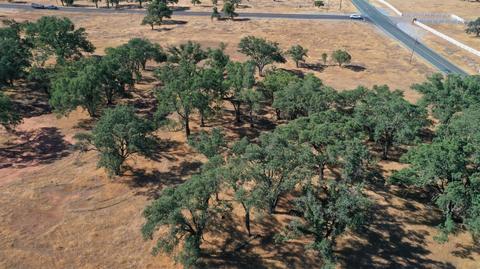 12609 Pattison Rd, Burson, CA 95225 photo 2