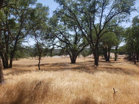 12609 Pattison Rd, Burson, CA 95225 photo 12