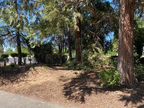 904 N Fine Rd, Linden, CA 95236 photo 20