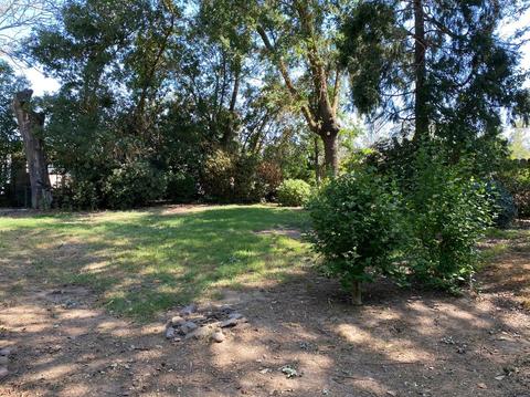 904 N Fine Rd, Linden, CA 95236 photo 29