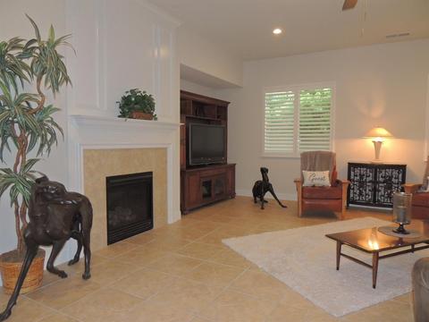 1217 Maple Leaf Ct, Manteca, CA 95336 photo 12