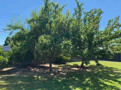 2424 Rotterdam Dr, Elverta, CA 95626 photo 16