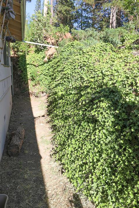 1829 Point View Dr, Placerville, CA 95667 photo 25