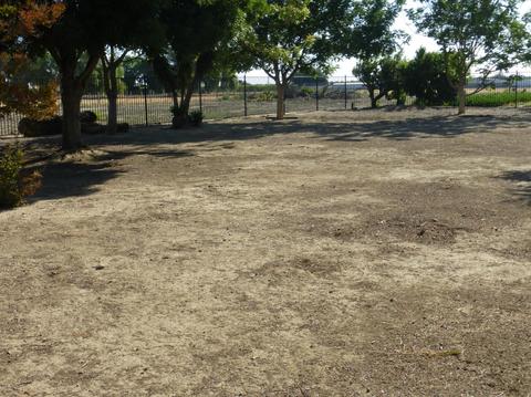 1235 North Ave, Gustine, CA 95322 photo 58