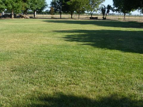 1235 North Ave, Gustine, CA 95322 photo 45
