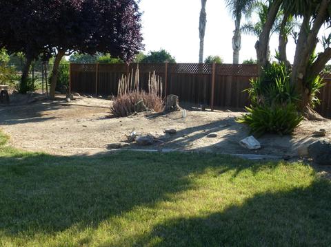1235 North Ave, Gustine, CA 95322 photo 50