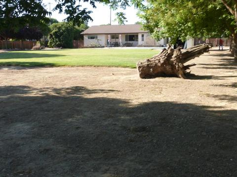 1235 North Ave, Gustine, CA 95322 photo 65