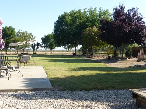1235 North Ave, Gustine, CA 95322 photo 46