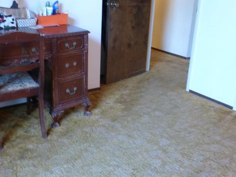 1235 North Ave, Gustine, CA 95322 photo 25
